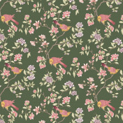 Английские обои Little Greene, коллекция National Trust Papers IV, артикул 0267ADOLIVE