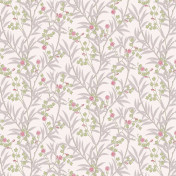 Английские обои Little Greene, коллекция National Trust Papers IV, артикул 0267BALEATH