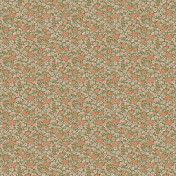 Английские обои Little Greene, коллекция National Trust Papers IV, артикул 0267SPGARDE