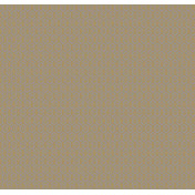 Российские обои Loymina, коллекция Amber Salon, артикул AS3021