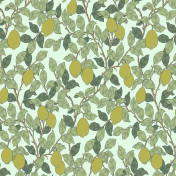 Российские обои Loymina, коллекция Equator, артикул QTR3-006