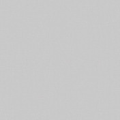 Российские обои Loymina, коллекция Shade vol. 2, артикул SDR1001/1