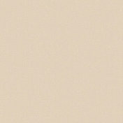 Российские обои Loymina, коллекция Shade vol. 2, артикул SDR1002/5