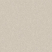 Российские обои Loymina, коллекция Shade vol. 2, артикул SDR5001/1