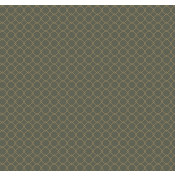 Российские обои Loymina, коллекция Шелковый путь, артикул SLK4005