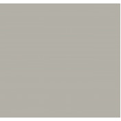 Российские обои Loymina, коллекция Шервуд, артикул BRIT27005