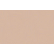 Российские обои Loymina, коллекция Terra, артикул TER1002/1