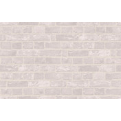 Российские обои Loymina, коллекция Terra, артикул TER4001/1