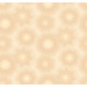 Российские обои Loymina, коллекция Timeless, артикул TS1 003