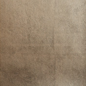 Французские обои Maison Neva, коллекция Aurora, артикул AU013