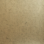 Французские обои Maison Neva, коллекция Aurora, артикул AU034