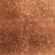 Французские обои Maison Neva, коллекция Aurora, артикул AU065