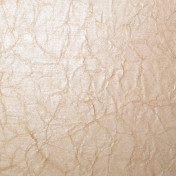 Французские обои Maya Romanoff, коллекция Mesa, артикул MR-W-55-X14