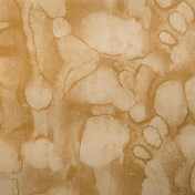 Французские обои Maya Romanoff, коллекция River Bed II, артикул MR-FV-20X10