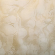 Французские обои Maya Romanoff, коллекция River Bed II, артикул MR-FV-20X14