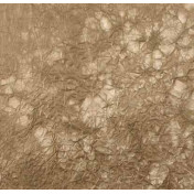 Французские обои Maya Romanoff, коллекция Set Classeurs Binders, артикул MR-ACP-0305-G