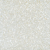 Французские обои Maya Romanoff, коллекция Set Classeurs Binders, артикул MR-BD-1519