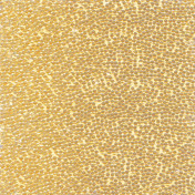 Французские обои Maya Romanoff, коллекция Set Classeurs Binders, артикул MR-BD-1552