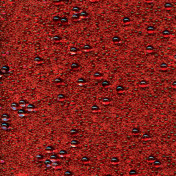 Французские обои Maya Romanoff, коллекция Set Classeurs Binders, артикул MR-BG-1455