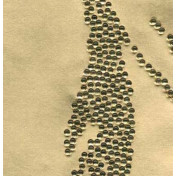 Французские обои Maya Romanoff, коллекция Set Classeurs Binders, артикул MR-BRNB-1552