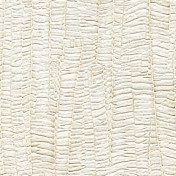 Французские обои Maya Romanoff, коллекция Set Classeurs Binders, артикул MR-FV-02X15