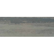 Французские обои Maya Romanoff, коллекция Set Classeurs Binders, артикул MR-FV-16506-S