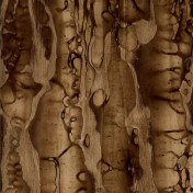 Французские обои Maya Romanoff, коллекция Set Classeurs Binders, артикул MR-W-58-1852-G