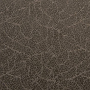 Французские обои Maya Romanoff, коллекция Unveil, артикул MR-FL-1109