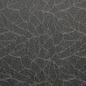 Французские обои Maya Romanoff, коллекция Unveil, артикул MR-FL-1X02