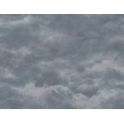 Английские обои Mayflower, коллекция Aerial, артикул WMAFJ080219