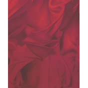 Английские обои Mayflower, коллекция Aerial, артикул WMAFJ110216