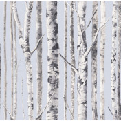 Английские обои Mayflower, коллекция Solaris, артикул WMAFJ020114