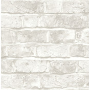 Английские обои Mayflower, коллекция Transition, артикул FJ31710