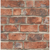 Английские обои Mayflower, коллекция Transition, артикул FJ31711