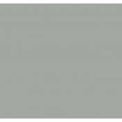 Российские обои Milassa, коллекция Ambient vol.2, артикул AM3006/1