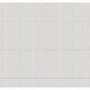 Российские обои Milassa, коллекция Amsterdam, артикул DM7001/1