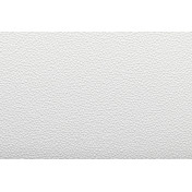 Российские обои NC, коллекция Antivandal, артикул 4010-23