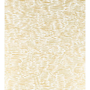 Английские обои Nina Campbell, коллекция Les Indiennes Collection, артикул NCW4355-01