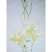 Английские обои Nina Campbell, коллекция Montacute, артикул NCW4067-04