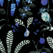 Французские обои Nobilis, коллекция Cosmopolitan II, артикул COS163