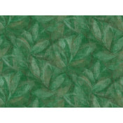 Бельгийские обои Omexco, коллекция Oase, артикул OAS203