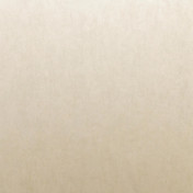 Бельгийские обои Omexco, коллекция Palazzo, артикул pal2640