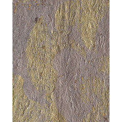 Обои OMEXCO Antares ANT409