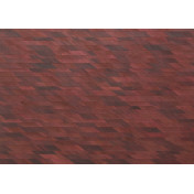 Обои OMEXCO Jungle JUA107