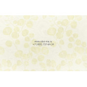 Обои OMEXCO Nashira NAI2802