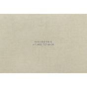 Обои OMEXCO Nashira NAI6802