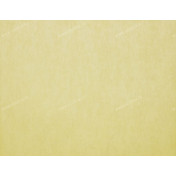 Бельгийские обои Omexco, коллекция On the Rocks, артикул RCA2240