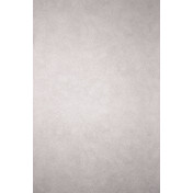 Английские обои Osborne & Little, коллекция Argentario, артикул W6303-05