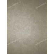 Английские обои Osborne & Little, коллекция Komodo, артикул W6303-02