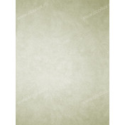 Английские обои Osborne & Little, коллекция Komodo, артикул W6303-04